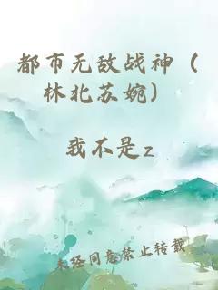 都市无敌战神（林北苏婉）