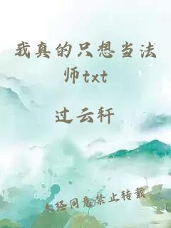 我真的只想当法师txt