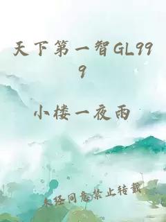 天下第一智GL999