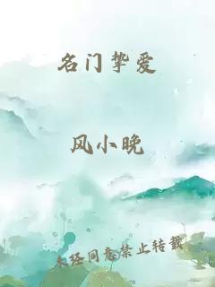 名门挚爱