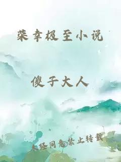 荣幸极至小说