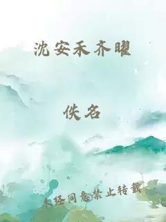 沈安禾齐曜