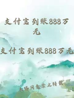 支付宝到账888万元