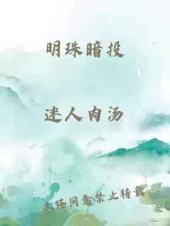 明珠暗投