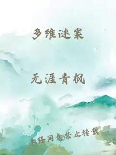 多维谜案