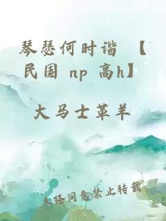 琴瑟何时谐 【民国 np 高h】