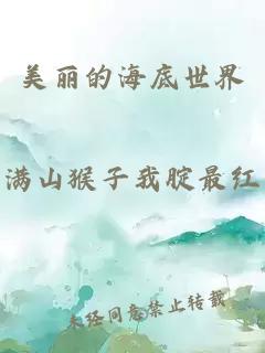 美丽的海底世界