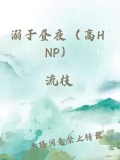 溺于昼夜（高H NP）