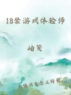 18禁游戏体验师