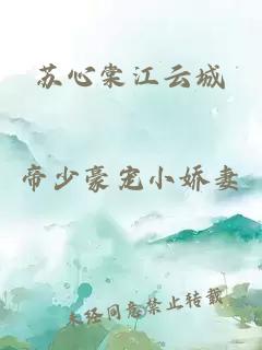 苏心棠江云城