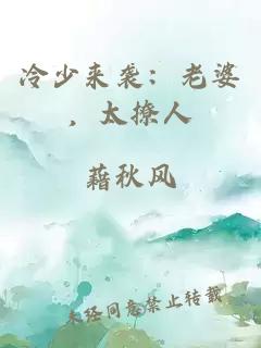 冷少来袭：老婆，太撩人